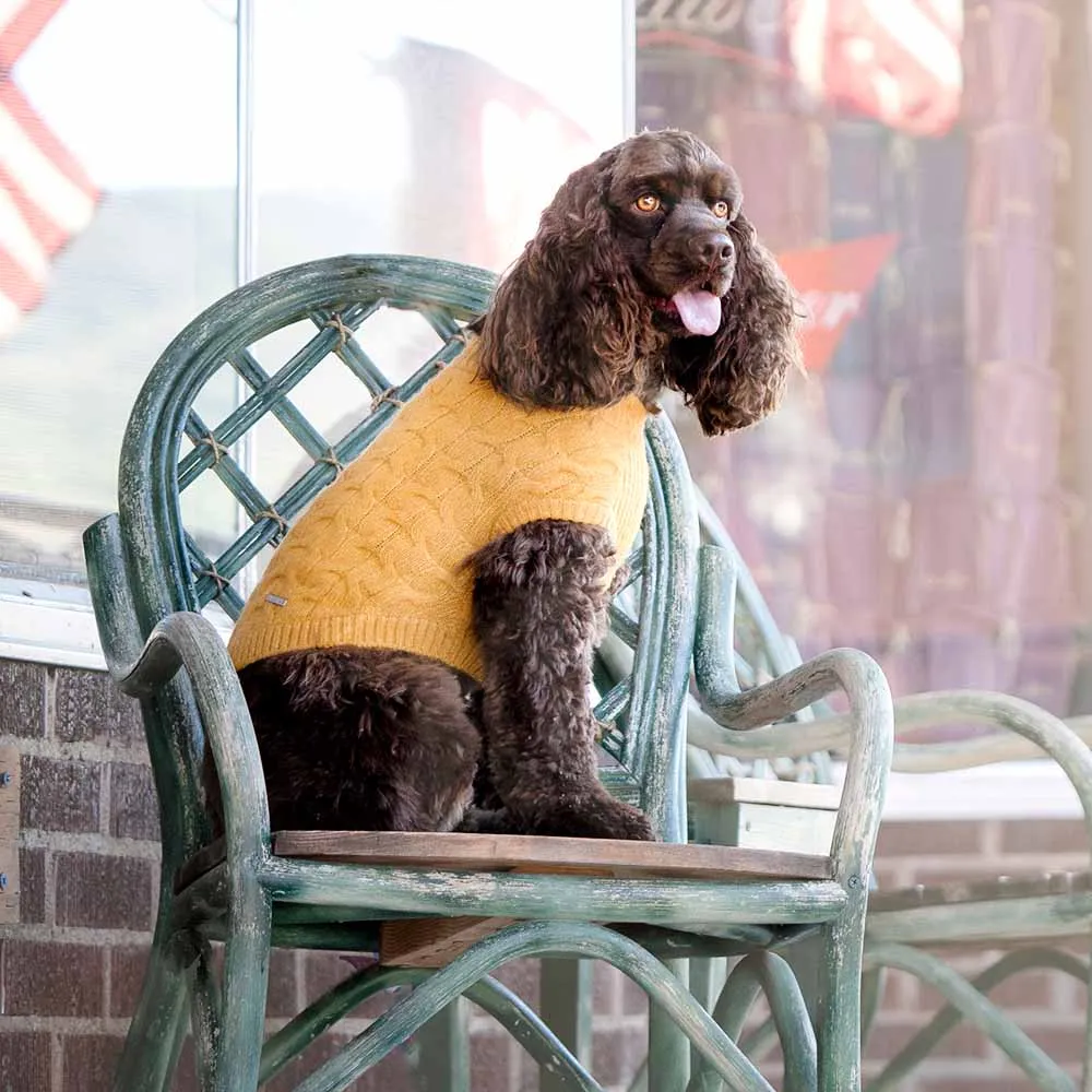 Fuzzy Textured Knit Dog Sweater, Crew-neck