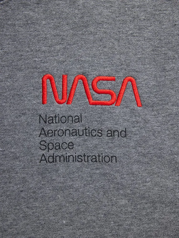 NASA WORM LOGO HOODIE (CHARCOAL)