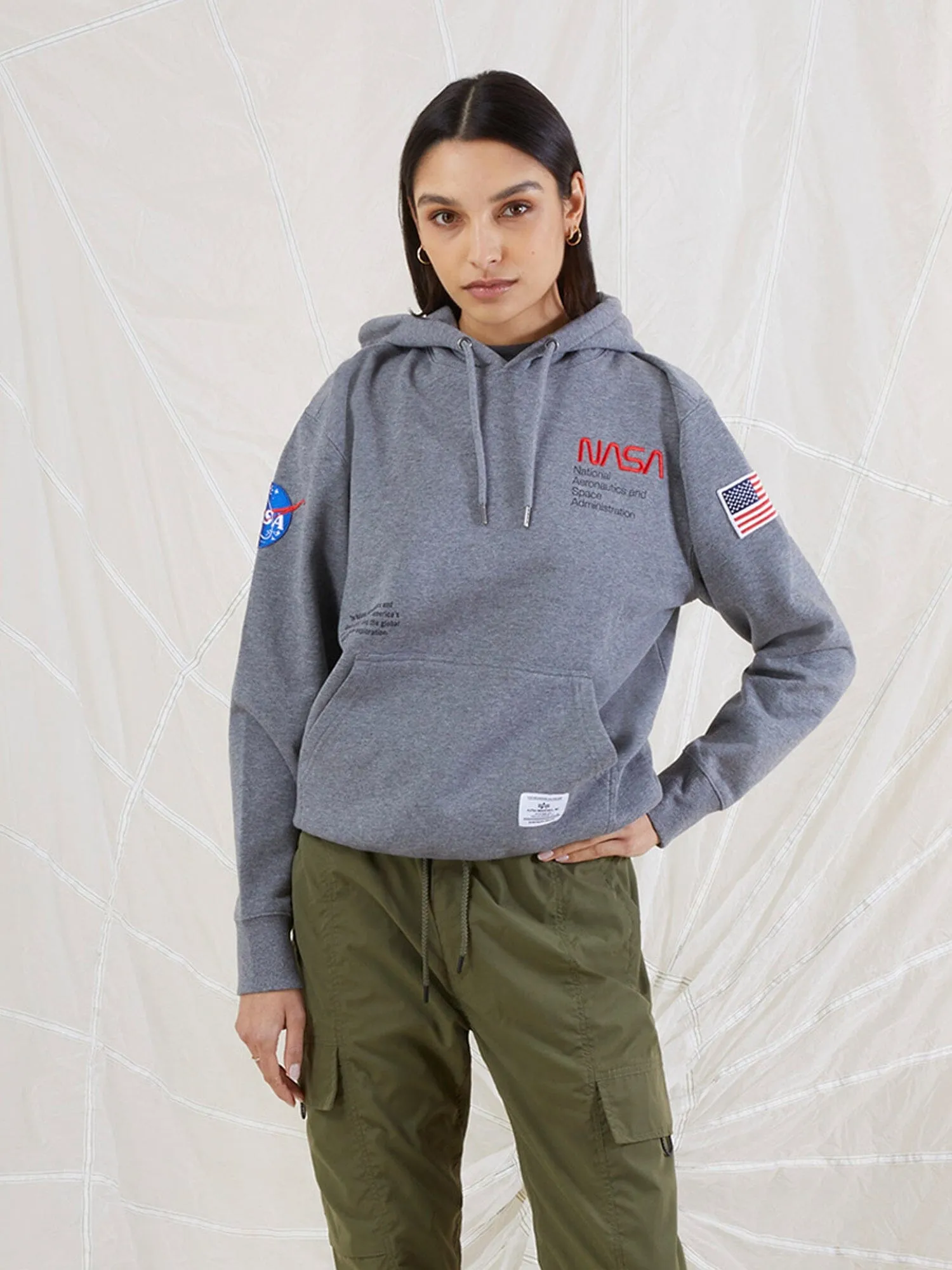 NASA WORM LOGO HOODIE (CHARCOAL)