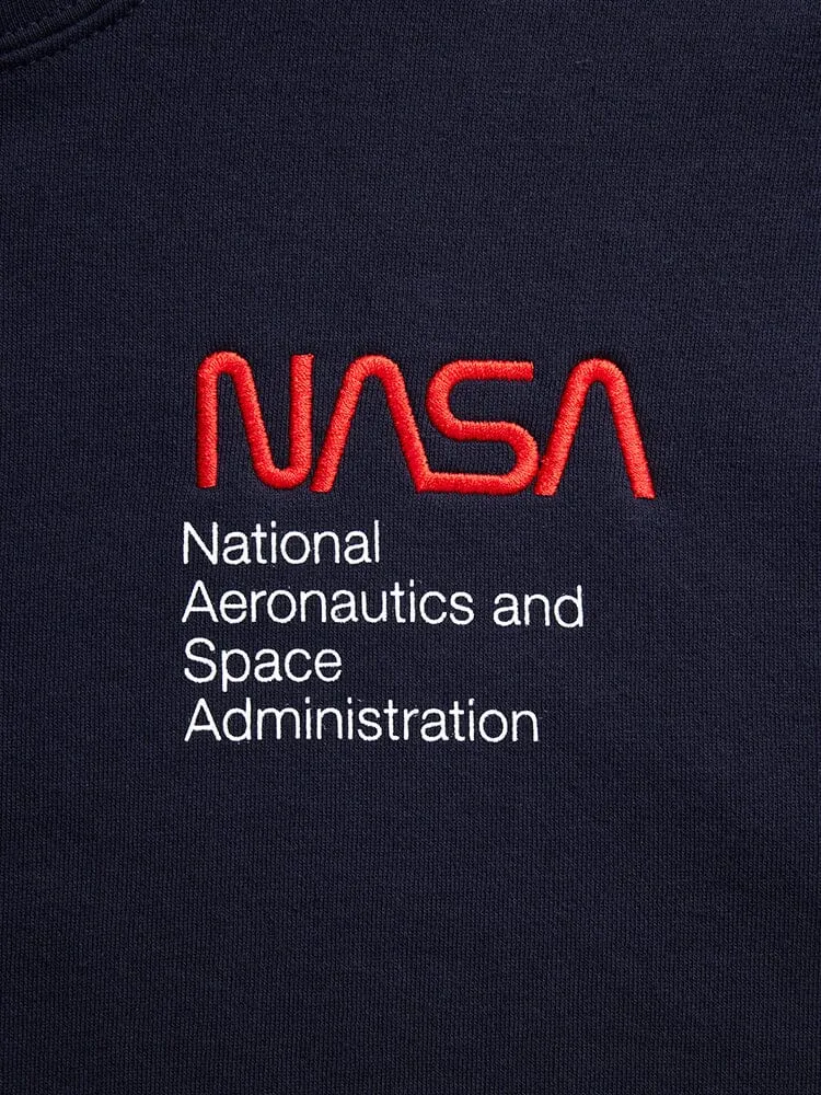 NASA WORM LOGO HOODIE (CHARCOAL)